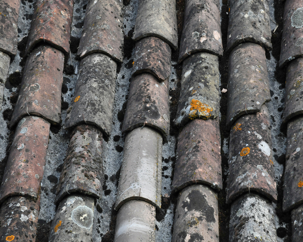 Roof Tiles / Loire Valley